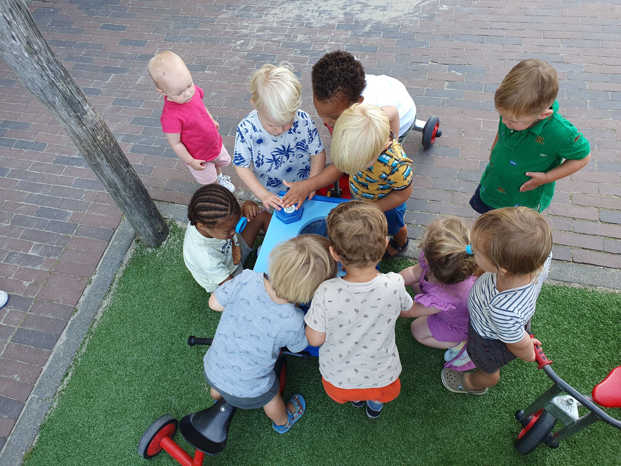 Project Boefjeskastje bij Kinderdagverblijf TintelTuin 2025