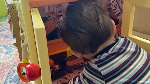 Project Boefjeskastje bij Kinderdagverblijf TintelTuin_ 2025