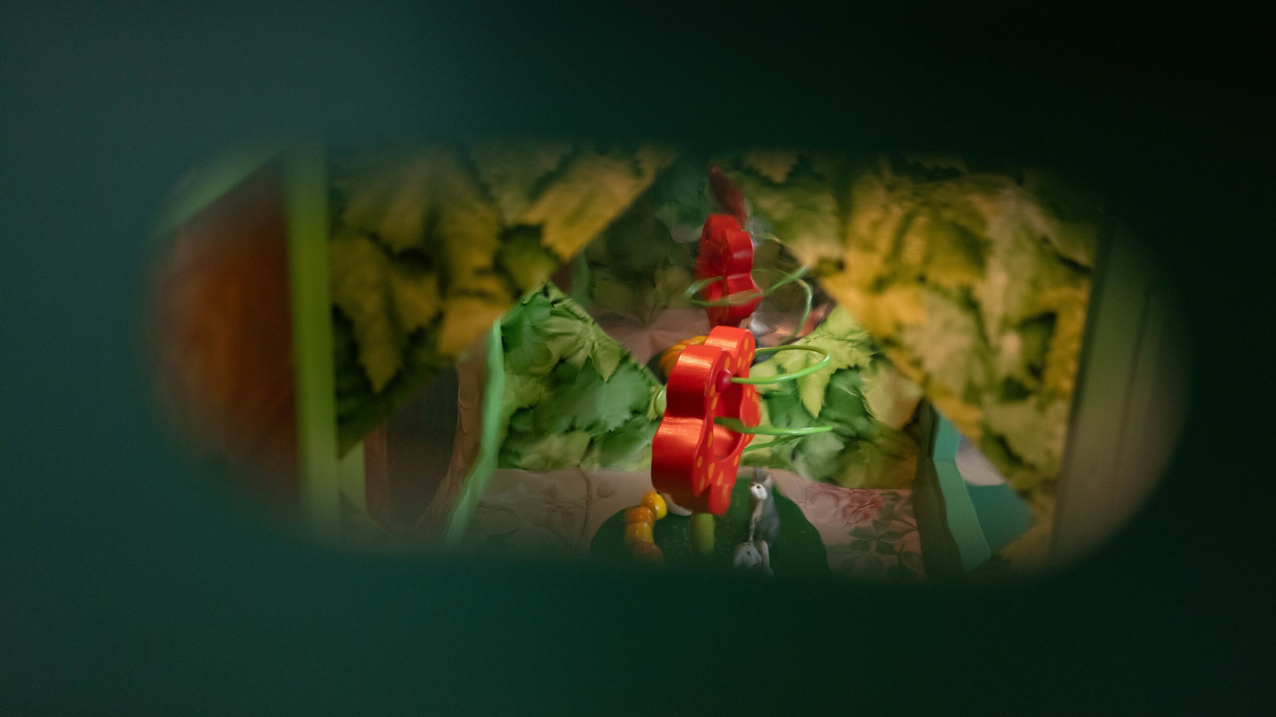 Project Boefjeskastje bij Kinderdagverblijf TintelTuin 2025