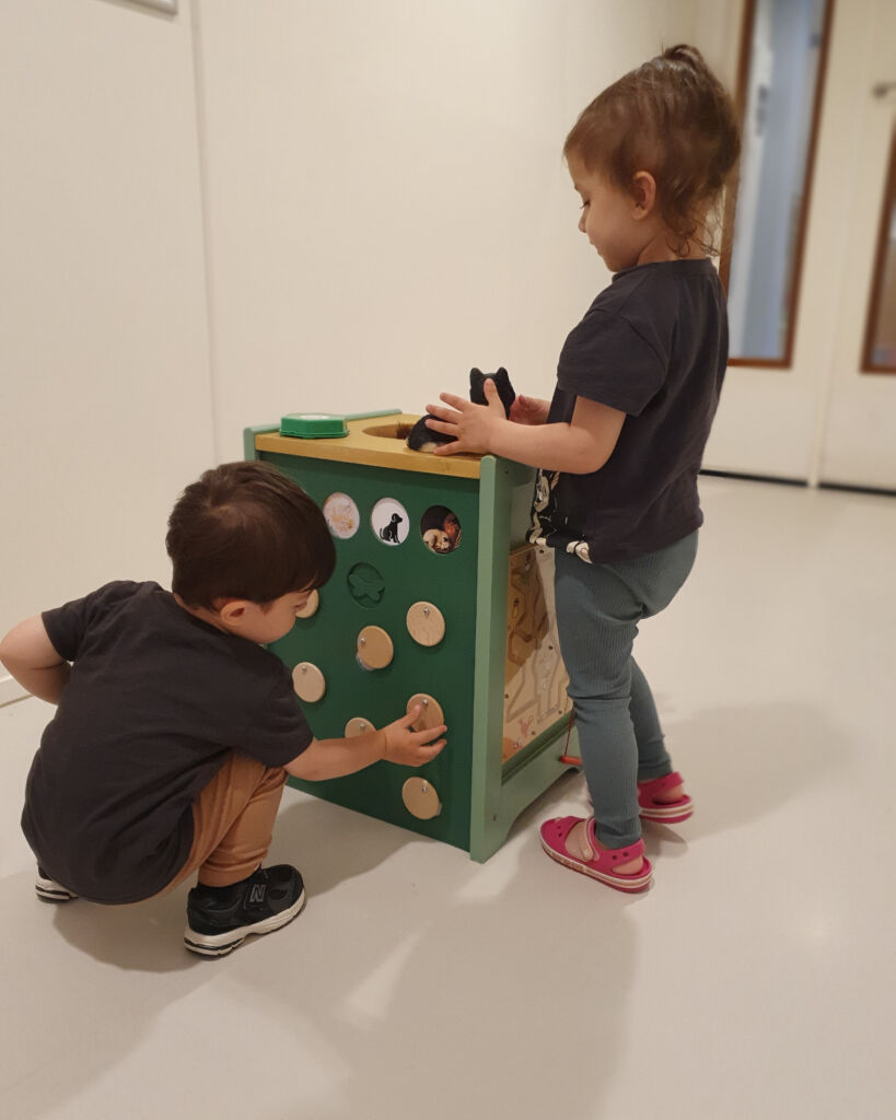 Project Boefjeskastje bij Kinderdagverblijf TintelTuin_ 2025