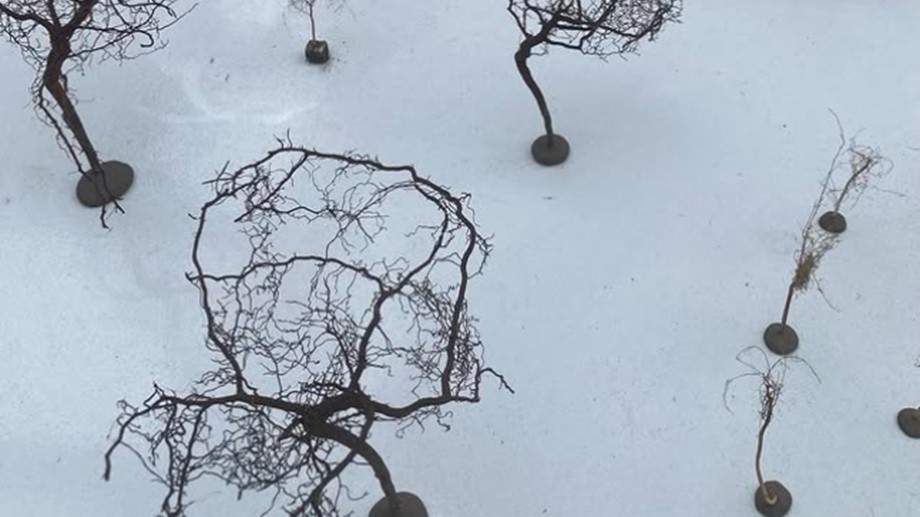 Project Kunst-inloop Van Stralen 20251105 (9)