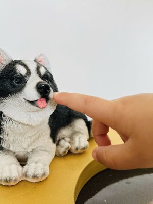 IMG_2343.